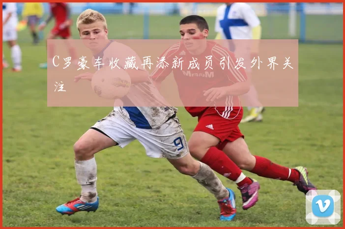 C罗豪车收藏再添新成员引发外界关注