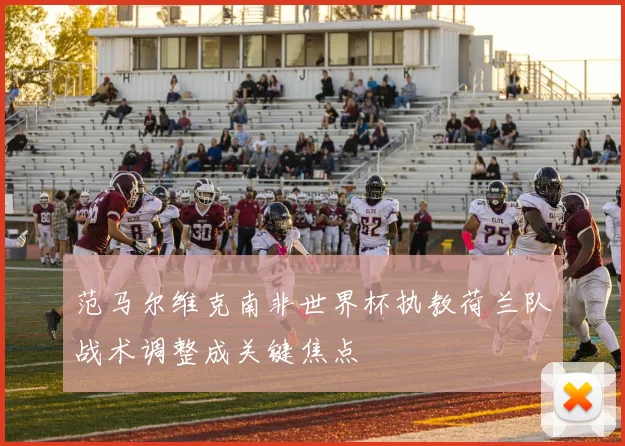 范马尔维克南非世界杯执教荷兰队战术调整成关键焦点