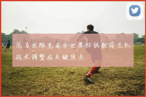 范马尔维克南非世界杯执教荷兰队战术调整成关键焦点