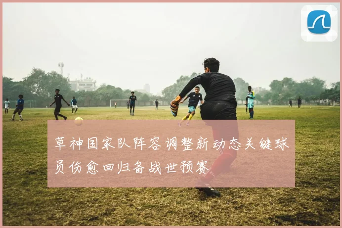 草神国家队阵容调整新动态关键球员伤愈回归备战世预赛