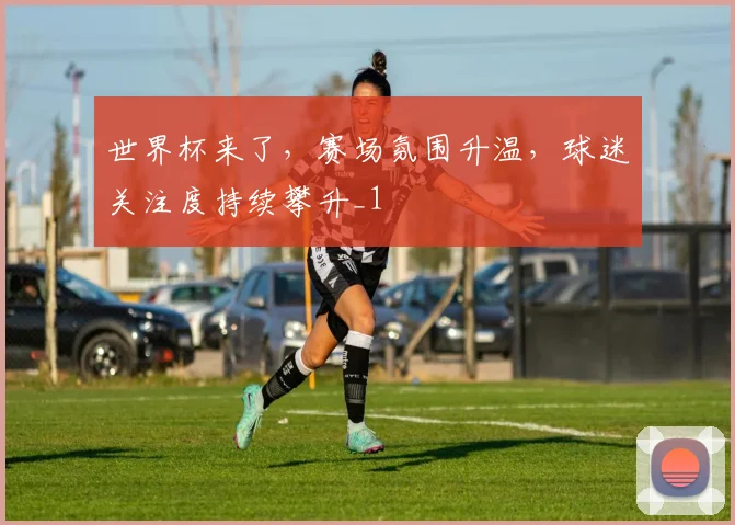 世界杯来了，赛场氛围升温，球迷关注度持续攀升_1