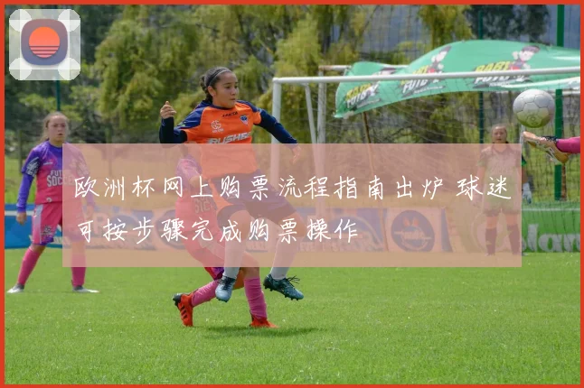 欧洲杯网上购票流程指南出炉 球迷可按步骤完成购票操作