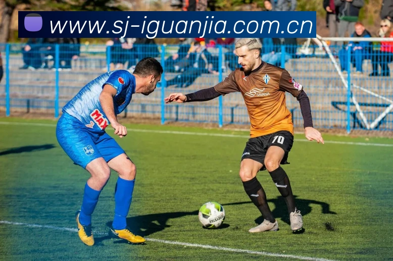 开云手机网页登录网页平台生态图